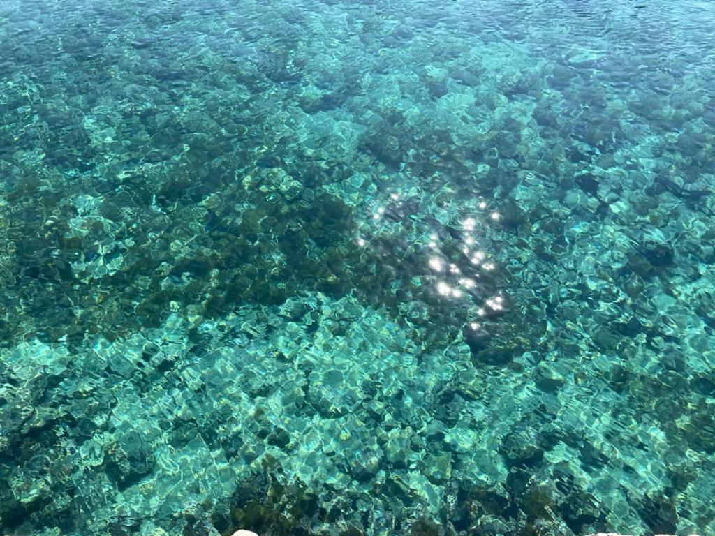 Villa A quai a Chiara Andrano Esterno foto